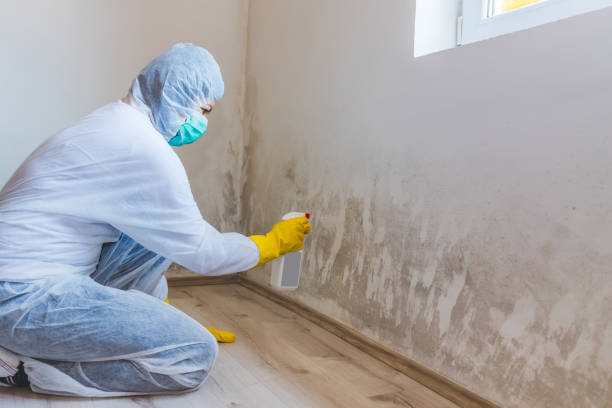 Mold inspector in Joppa performing thermal imaging