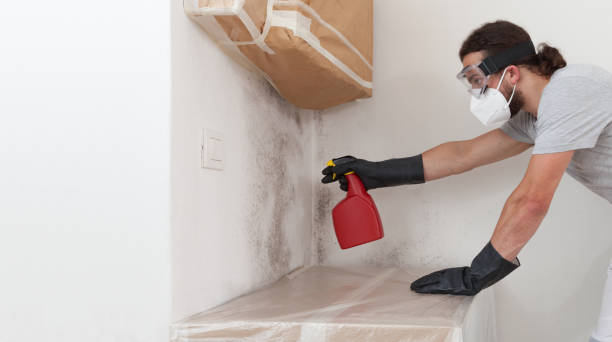 Attic Mold Remediation treatment on roof deck in Joppa