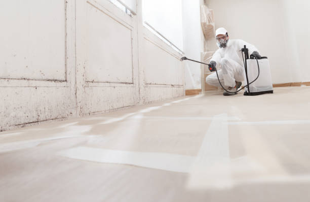 Black mold remediation team in Joppa